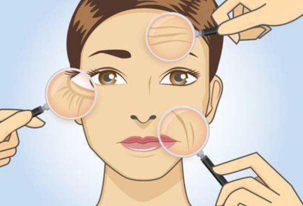 Anti-Wrinkle and Anti-Aging Serum