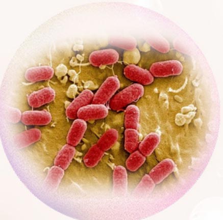 Silver Ion Antibacterial Gel for Men